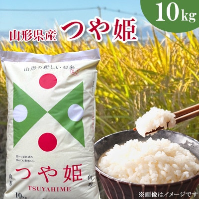 【令和7年産】山形県産 特別栽培米 つや姫 精米 10kg なおちゃんファームのお米