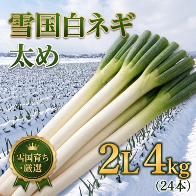 産地直送 山形県産 雪国ネギ 2Lサイズ 4kg