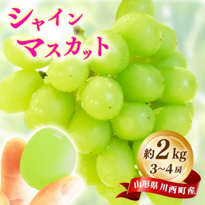 【先行予約】令和8年産 シャインマスカット 約2kg(3房～4房)