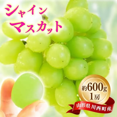 雪国シャインマスカット 大玉 1房 約600g