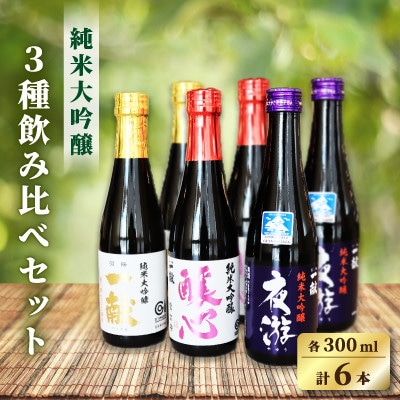【先行予約】中沖酒造 純米大吟醸 飲み比べセット 3種×各2本(各300ml 計6本)