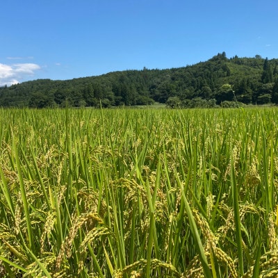 【令和8年産先行予約】山形県川西町産 有機栽培つや姫 精米 計10kg(5kg×2袋)