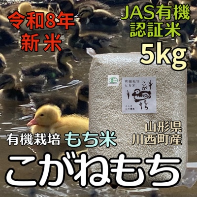 【令和8年産先行予約】山形県川西町産 有機栽培もち米 こがねもち (精米) 5kg