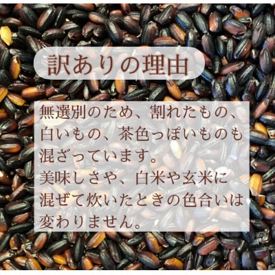 【令和8年産先行予約】有機栽培 天日干し 訳あり黒米(玄米) 150g