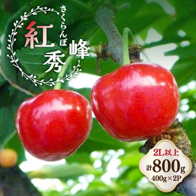 さくらんぼ 紅秀峰 2Lサイズ以上 400g×2パック