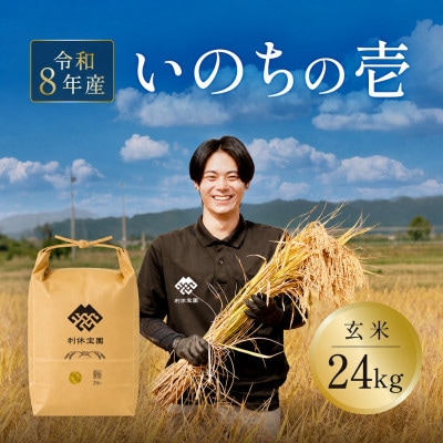 ≪新米予約≫ いのちの壱(玄米)24kg 令和8年産米 山形県産