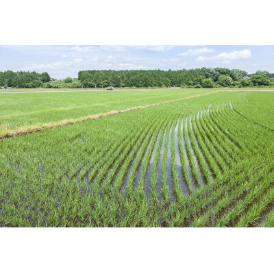栃木県産五百万石100%使用　惣誉　純米大吟醸　五百万石　720ml×1本