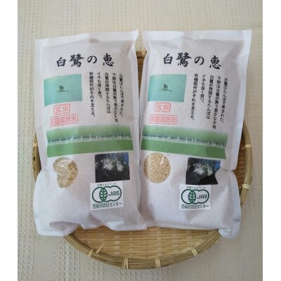 白鷺の恵み【有機米コシヒカリ玄米4kg】