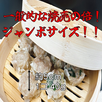 【鹿沼新名物】ヤオハンオリジナルにらシウマイ　20個入(800g)