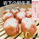 【鹿沼新名物】ヤオハンオリジナル岩下の新生姜シウマイ　40個入(1600g)