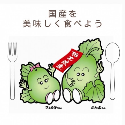 下野ブランド　下野市産かんぴょう　　　　　約60g×2袋