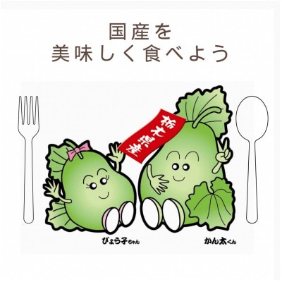 下野ブランド　下野市産かんぴょう　　　　　バラツキ有り増量　約80g×2袋
