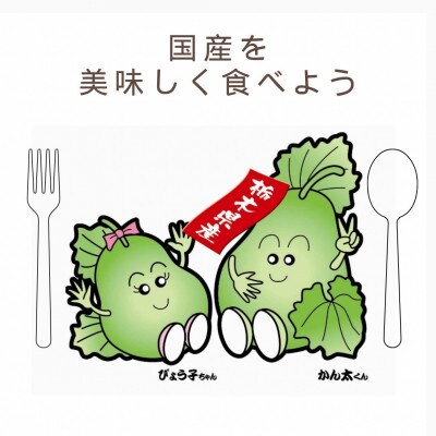 下野ブランド　下野市産かんぴょう　　　　約200g