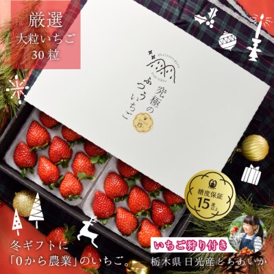 究極のふつういちご「厳選大粒 とちあいか」30粒入り&いちご狩りご招待券(ペア)