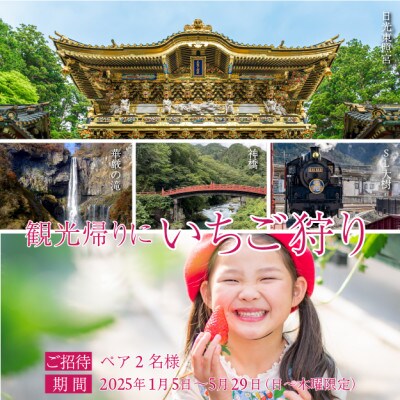 究極のふつういちご「厳選大粒 とちあいか」30粒入り&いちご狩りご招待券(ペア)