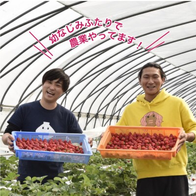 究極のふつういちご「厳選大粒 とちあいか」30粒入り&いちご狩りご招待券(ペア)