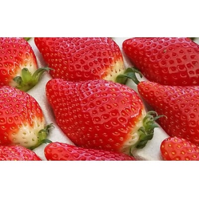 とちひめ　計600g(300g×2パック)