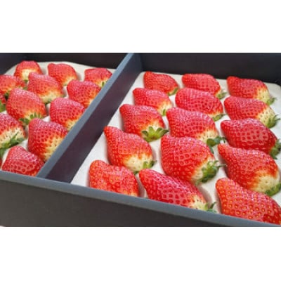 とちひめ　計600g(300g×2パック)