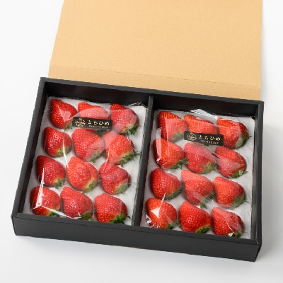 とちひめ　計600g(300g×2パック)