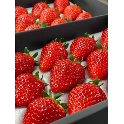 とちひめ とちあいか食べ比べセット　各300g(計2パック)