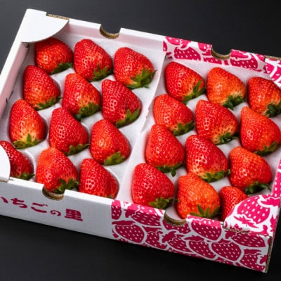 スカイベリー(24～30粒入り)