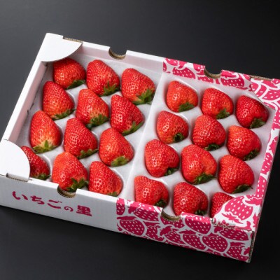 いちご食べ比べセット(スカイベリー&とちあいか 24～30粒入り)