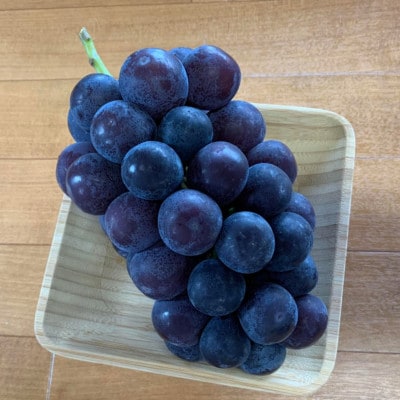 内海ぶどう園の　巨峰2kg