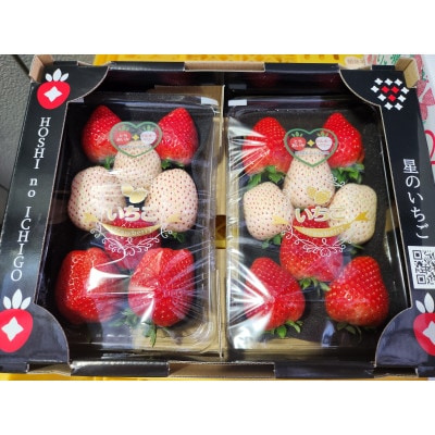 栃木県産紅白いちご 2パック(合計600g)