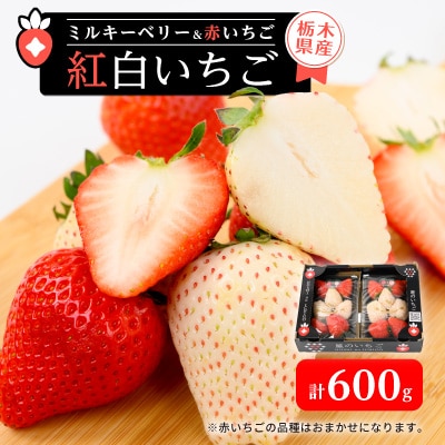 栃木県産紅白いちご 2パック(合計600g)