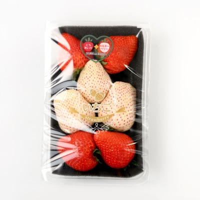 栃木県産紅白いちご 2パック(合計600g)