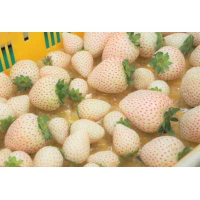 星のいちごの食べ比べセット 約300g×2パック