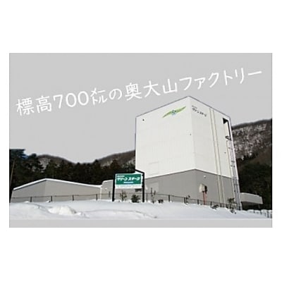 奥大山の天然水100%の氷(1.1kg×6袋)