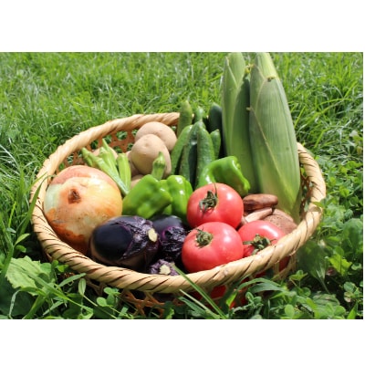 【旬の野菜】三春町産野菜の詰め合わせ