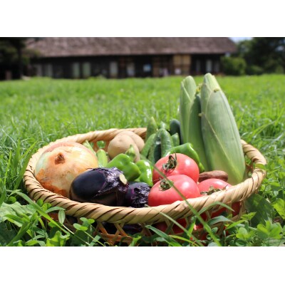 【旬の野菜】三春町産野菜の詰め合わせ