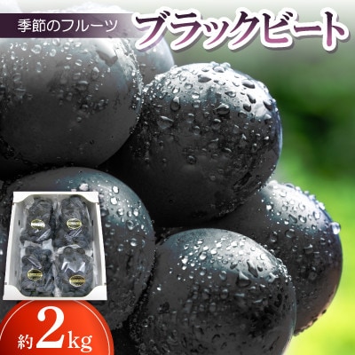 季節のフルーツ「ブラックビート」約2kg【令和7年8月発送】