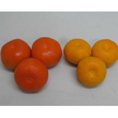 さぬき讃フルーツ「ハウス小原紅早生みかん(さぬき紅)」約1.2kg 【令和7年7月発送】