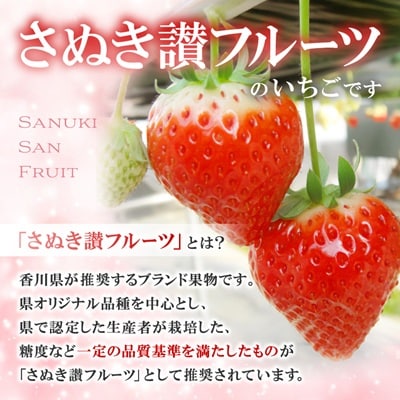 さぬき讃フルーツ「さぬきひめ」約3kg 【令和9年1～5月発送】
