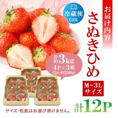さぬき讃フルーツ「さぬきひめ」約3kg 【令和9年1～5月発送】