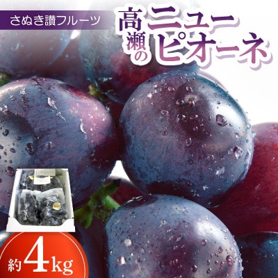 さぬき讃フルーツ「高瀬のニューピオーネ」約4kg 【令和7年8～9月発送】