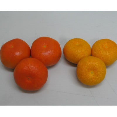 さぬき讃フルーツ「ハウス小原紅早生みかん(さぬき紅)」小粒約5kg 【令和7年7月発送】