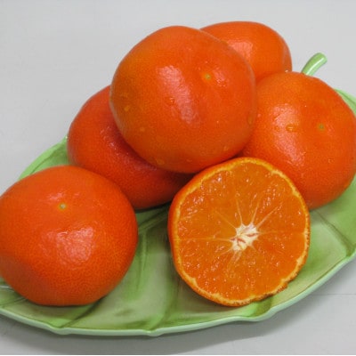 さぬき讃フルーツ「ハウス小原紅早生みかん(さぬき紅)」小粒約5kg 【令和7年7月発送】