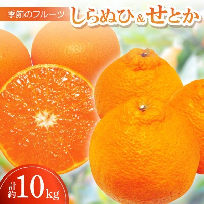 季節のフルーツ「しらぬひ&せとか」計約10kg【令和8年3月発送】