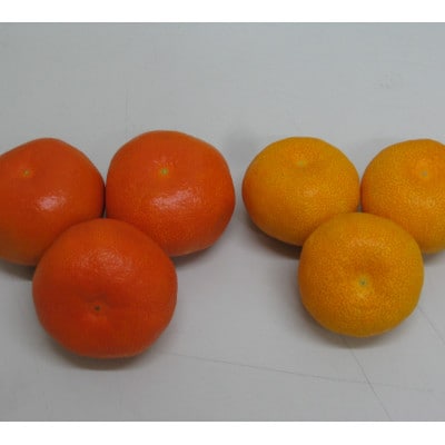 さぬき讃フルーツ「ハウス小原紅早生みかん(さぬき紅)」約2kg【令和7年7月発送】
