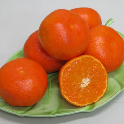 さぬき讃フルーツ「ハウス小原紅早生みかん(さぬき紅)」約2kg【令和7年7月発送】