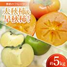 季節のフルーツ「太秋柿&早秋柿セット」計約5kg【令和7年9～10月発送】
