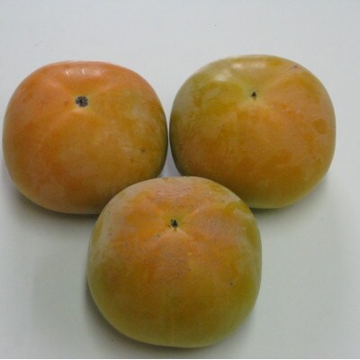 季節のフルーツ「太秋柿&早秋柿セット」計約5kg【令和7年9～10月発送】