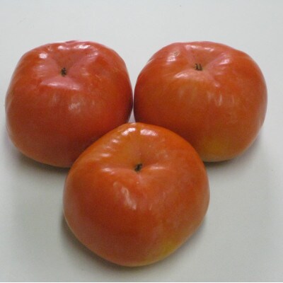 季節のフルーツ「太秋柿&早秋柿セット」計約5kg【令和7年9～10月発送】