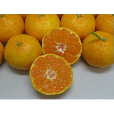 温州みかん(2L～Mサイズ)約2.5kg