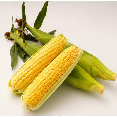 【期間限定!】朝採り とうもろこし(品種おまかせ)約8kg+400g