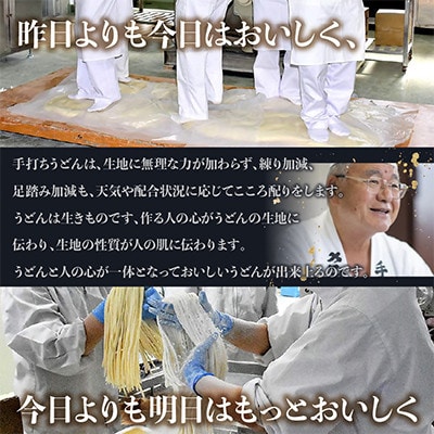 さぬきの夢うどん (3)(15人前)